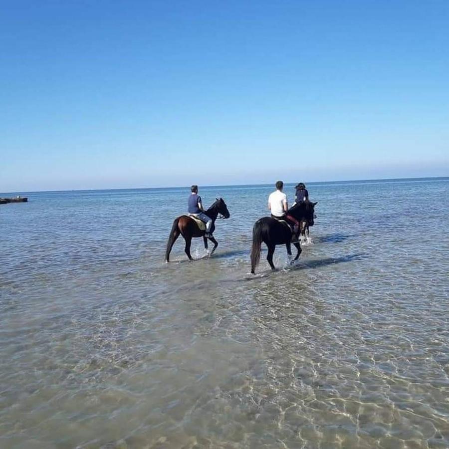Kite House Marsala Stagnone Panzió Kültér fotó